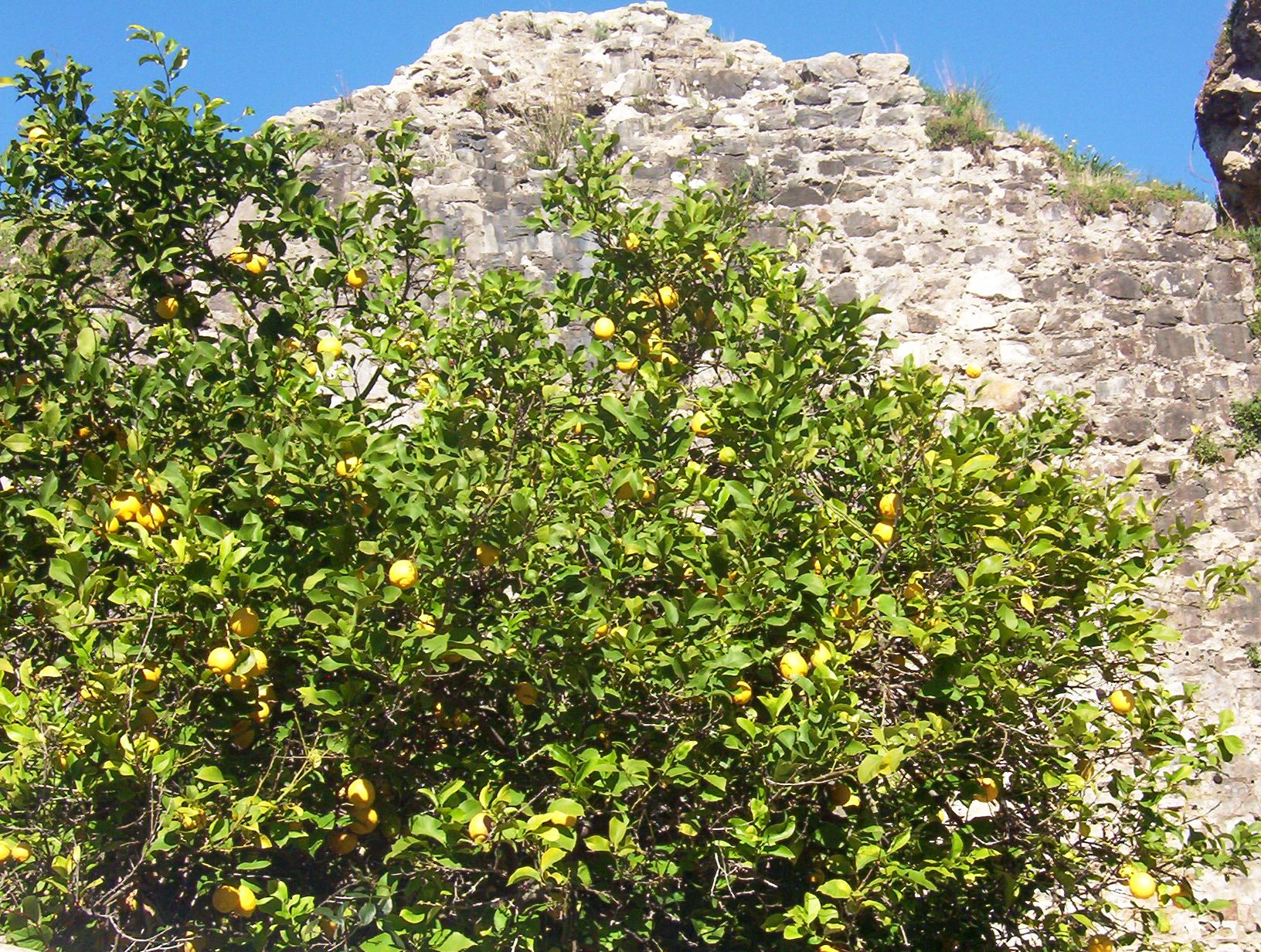 Castelo Serpa