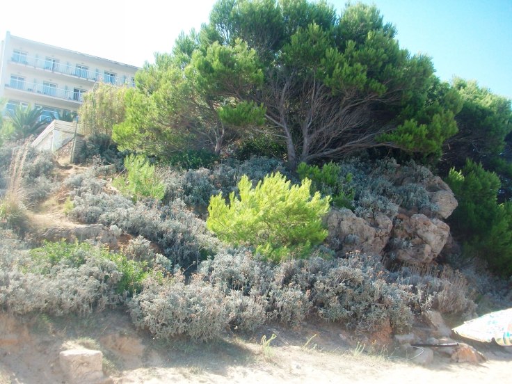 100_5103.JPG
