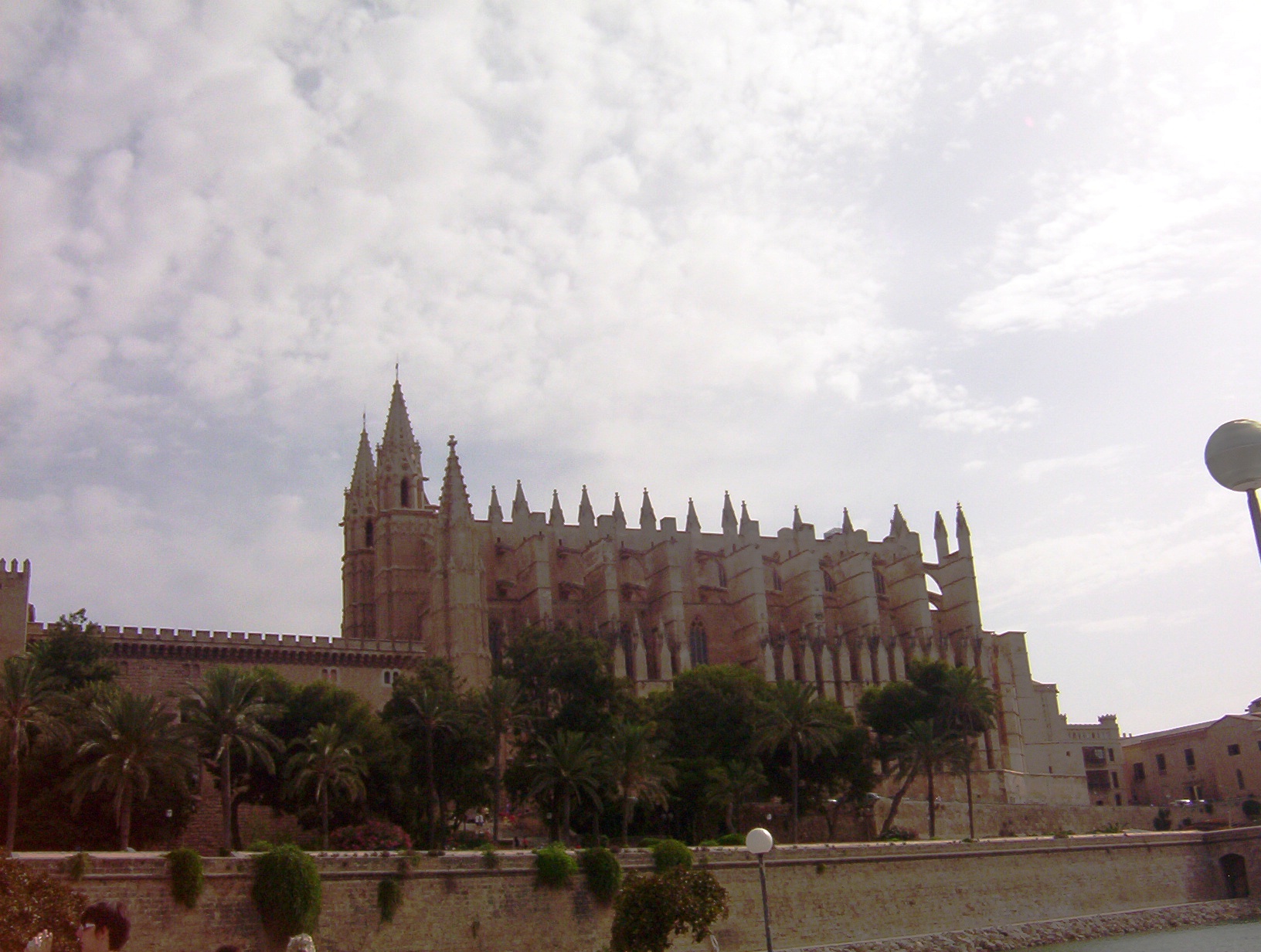 Palma Catedral La Seu