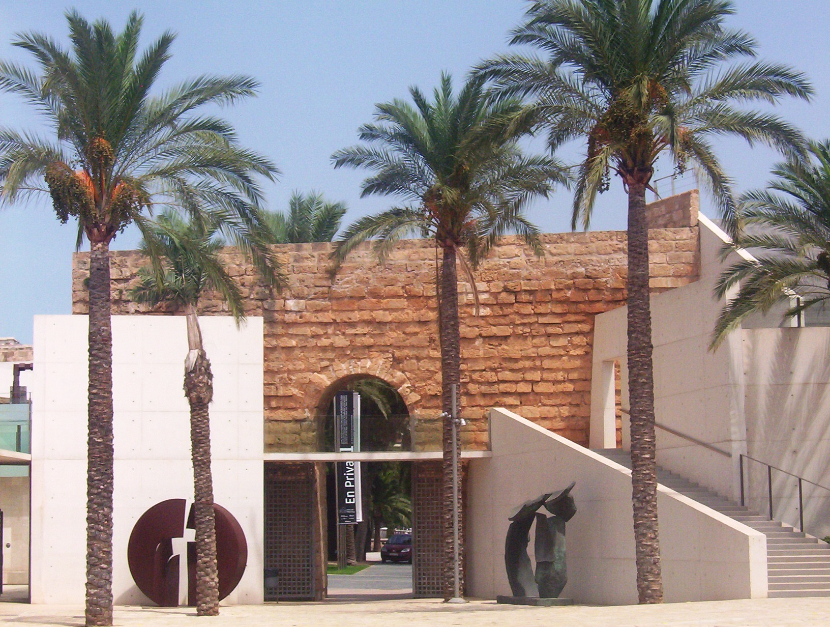 Maiorca, palma