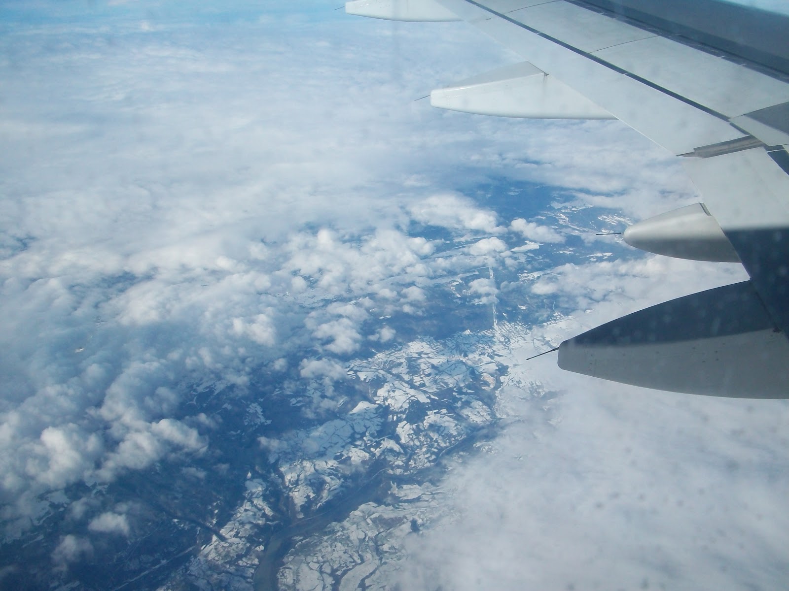 f0d6c-100_7006