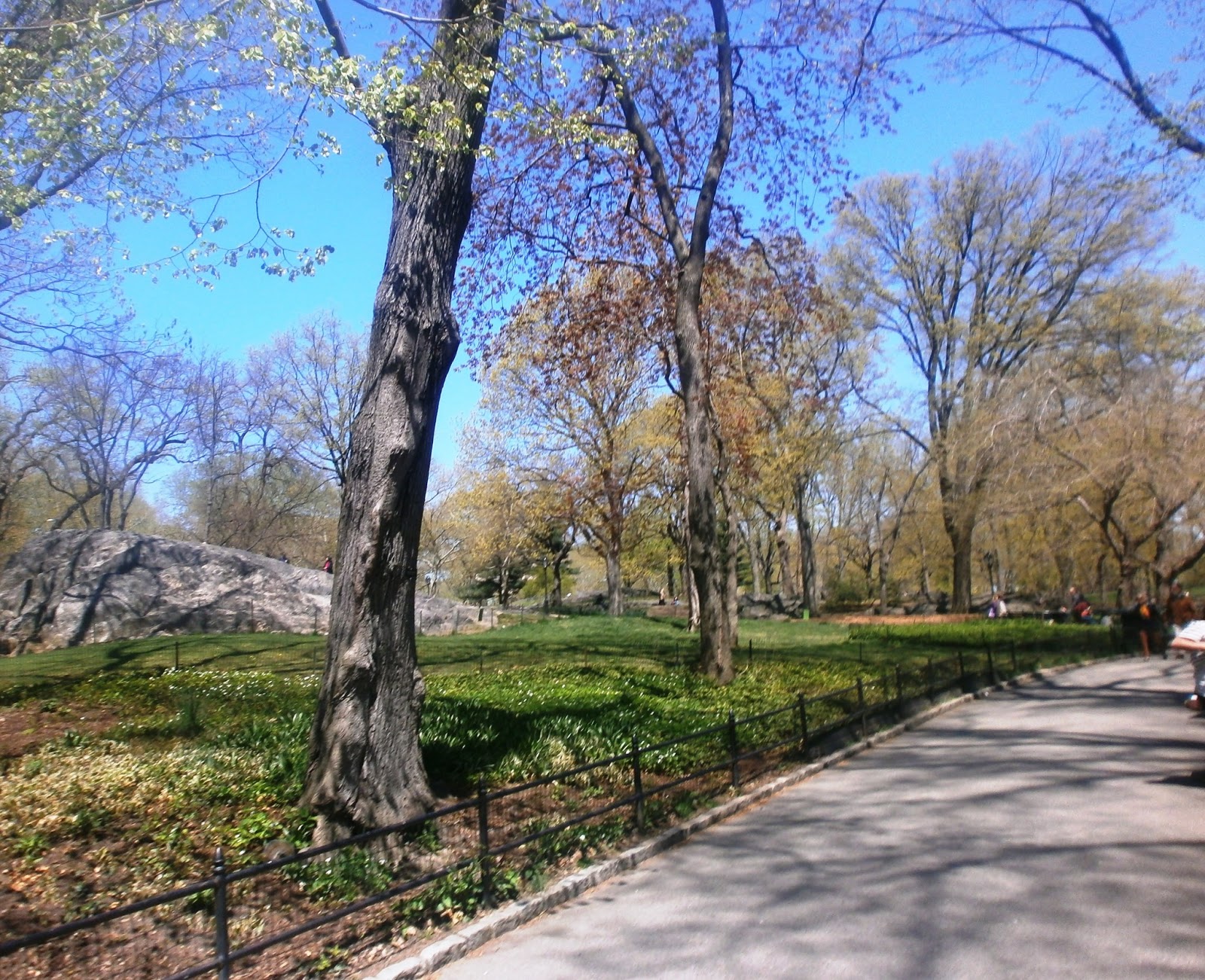 Central Park NY