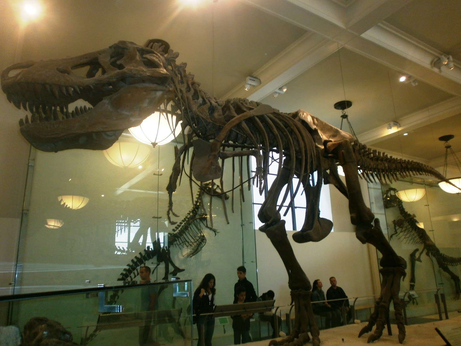 American Museum of Natural History New Yorque