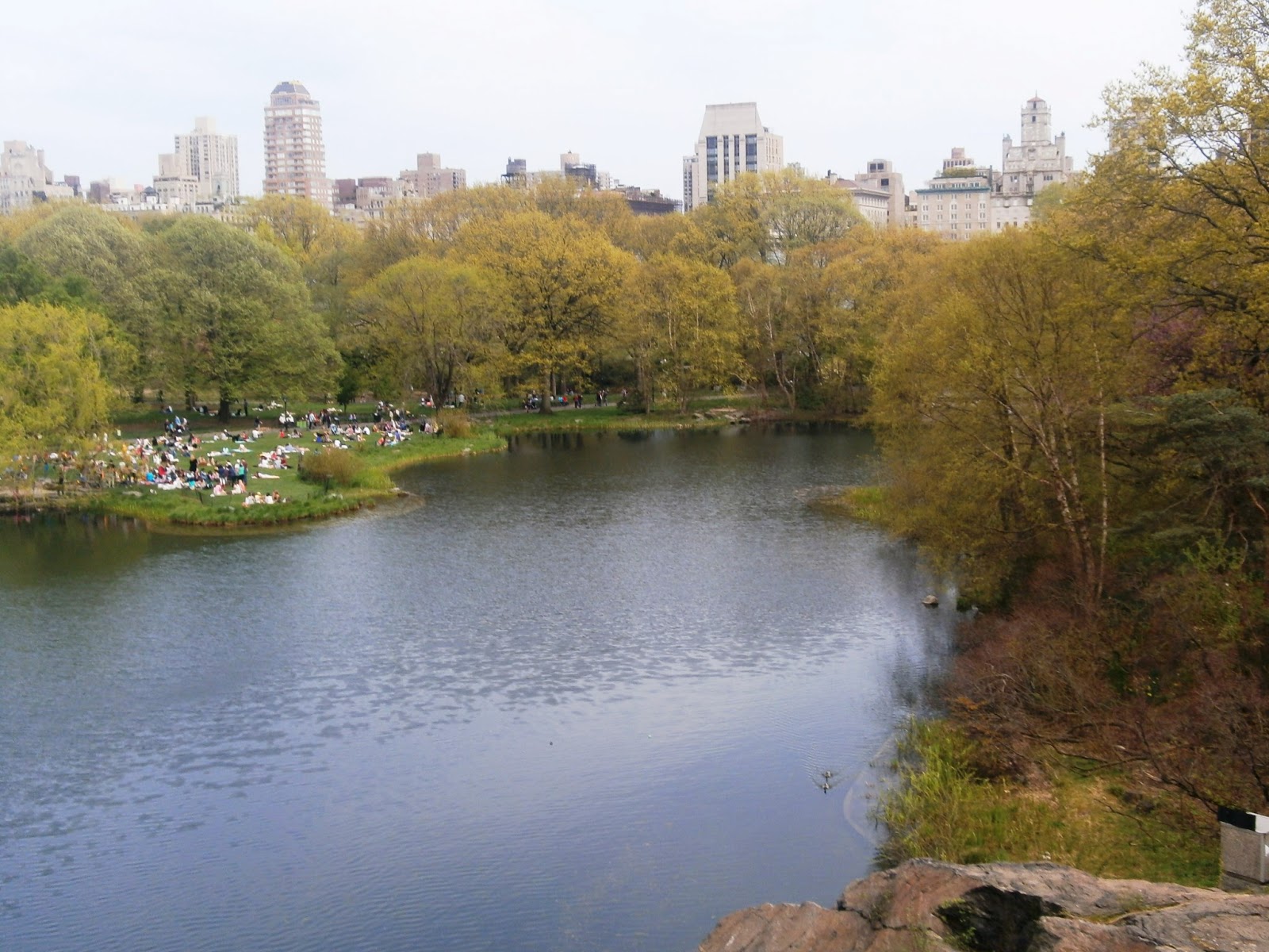 Central Park NY