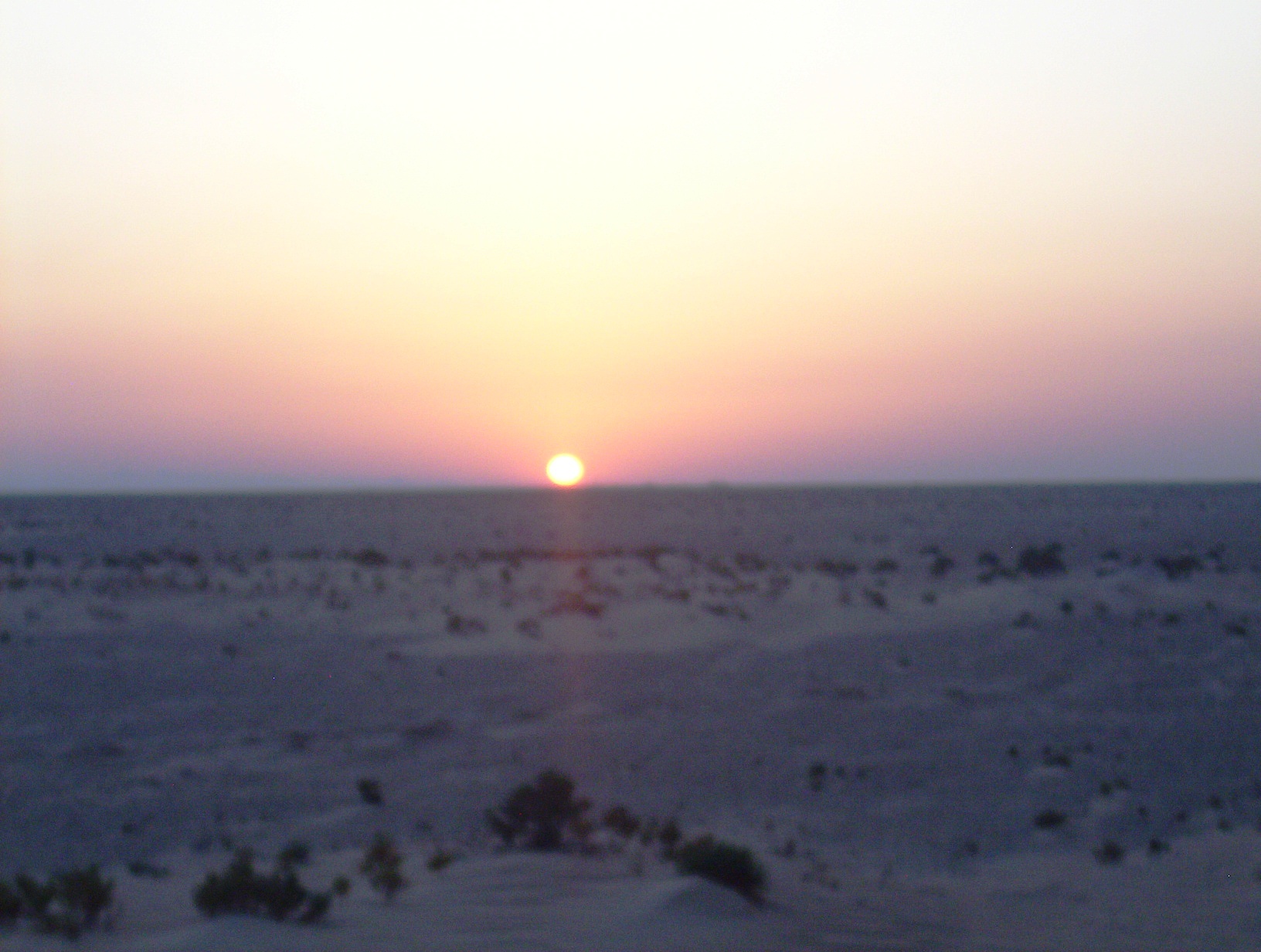 LostFile_JPG_14191439