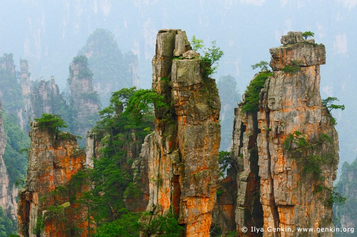 6Tianzi_China1