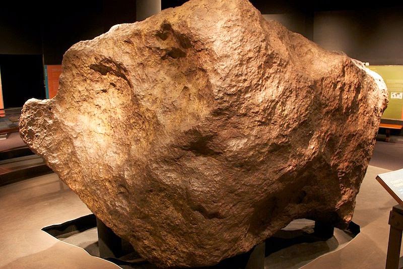 À descoberta dos Museus de História Natural
