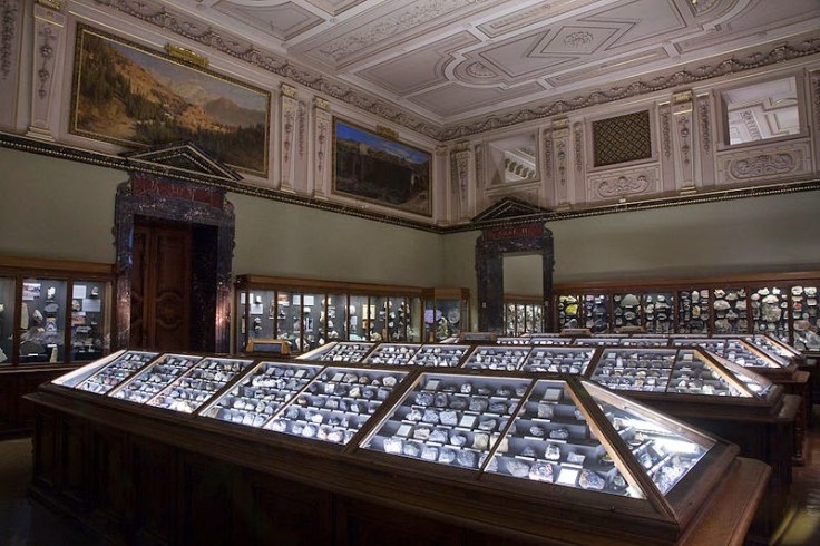 312a7-natural_history_museum_