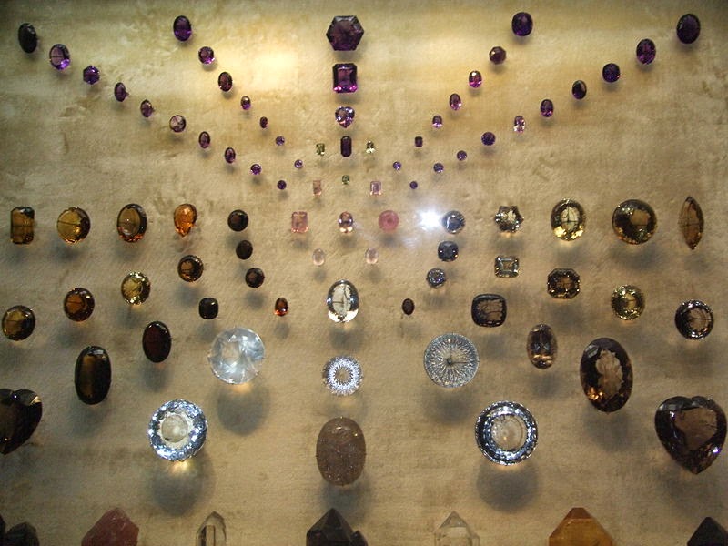 À descoberta dos Museus de História Natural