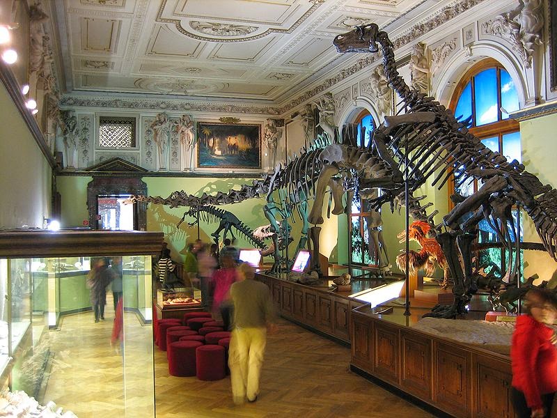 naturhistorisches museum
