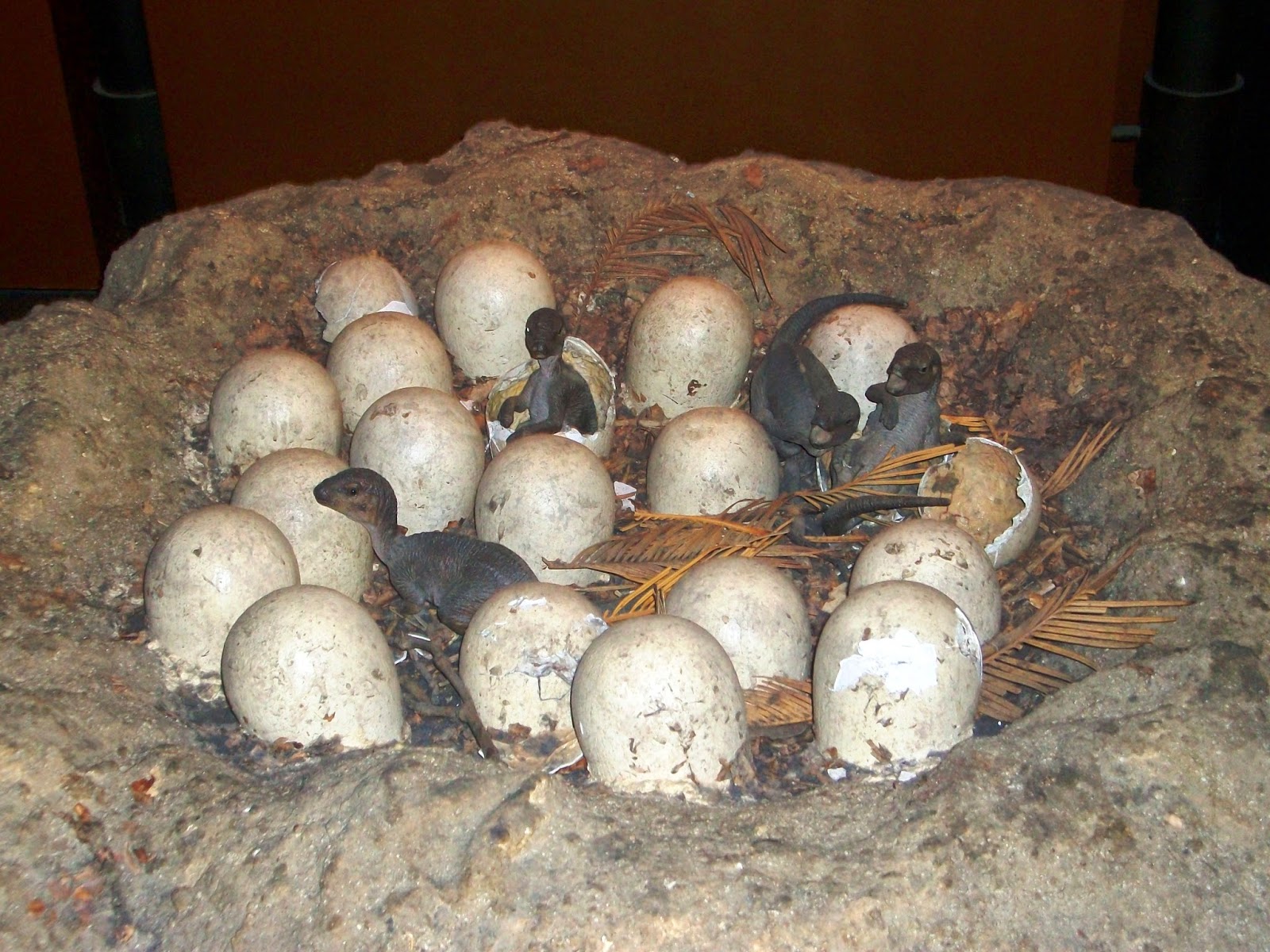Londres
À descoberta dos Museus de História Natural