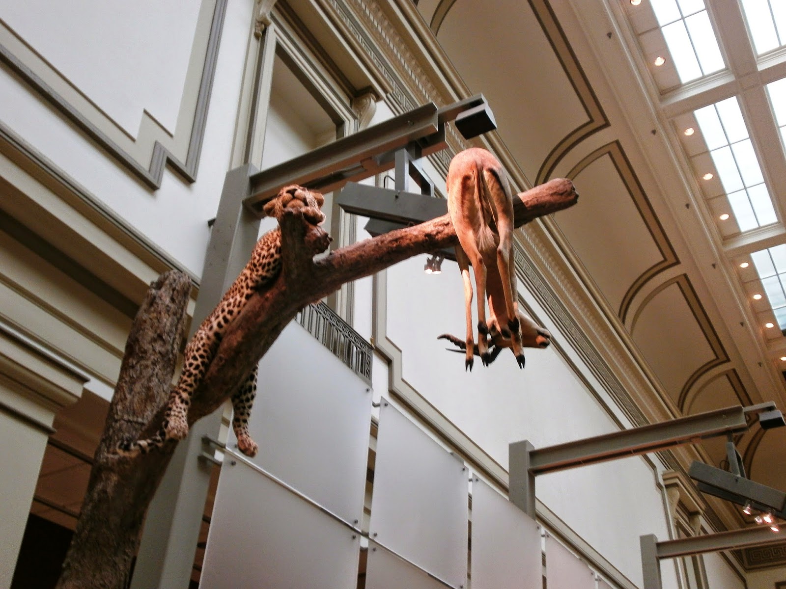 À descoberta dos Museus de História Natural