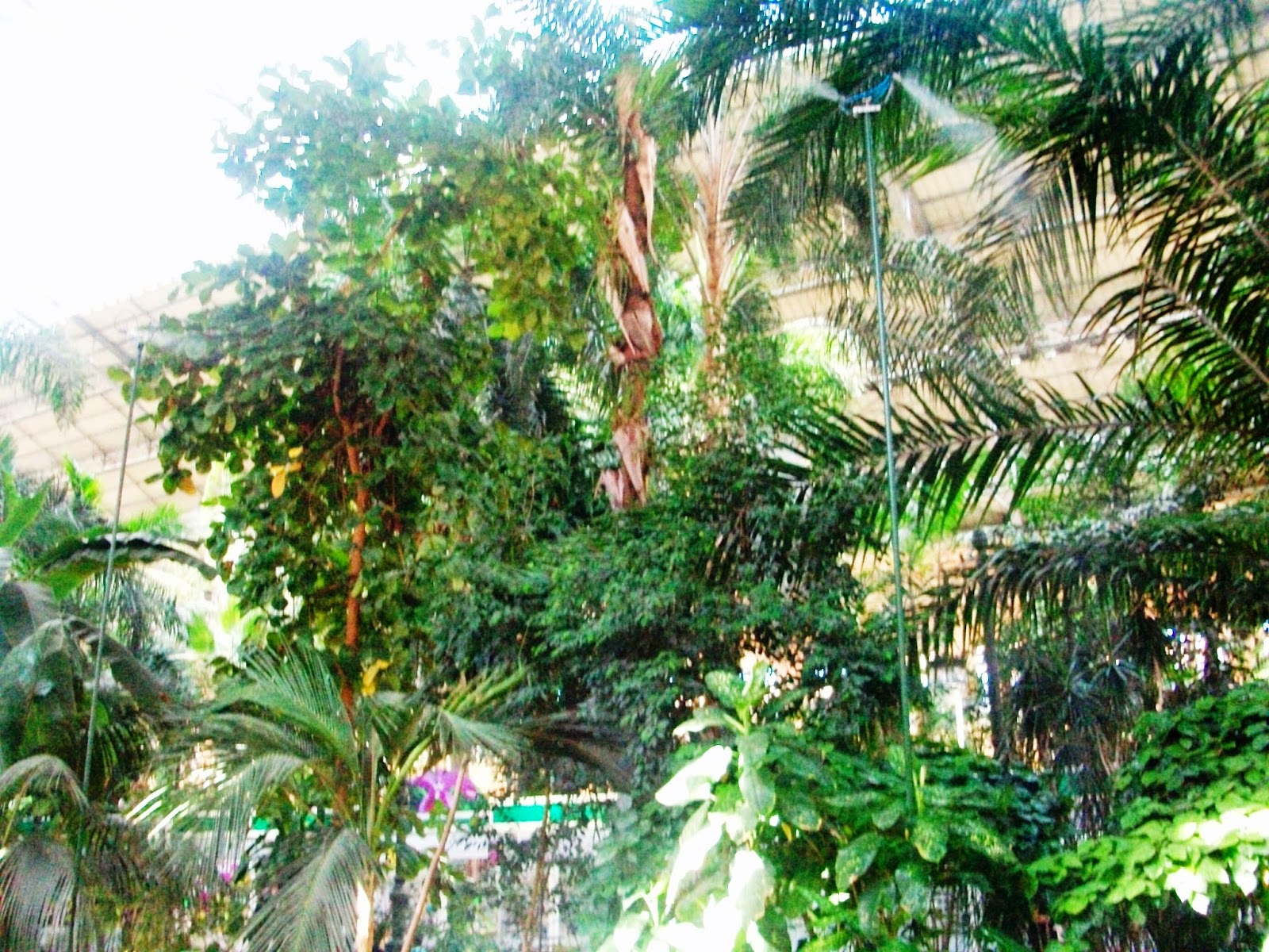 c2631-atocha