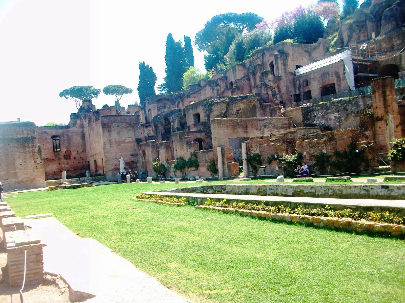6a13c-forum2bromano2