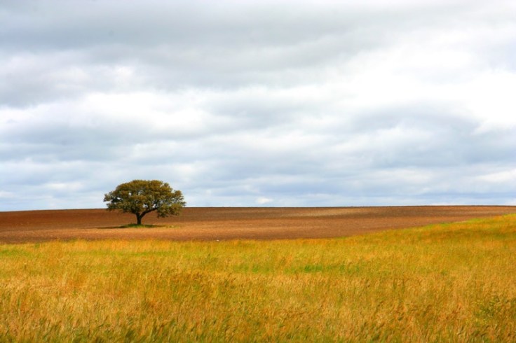 Alentejo