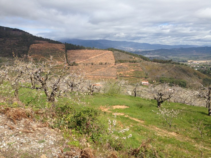 Fundão1