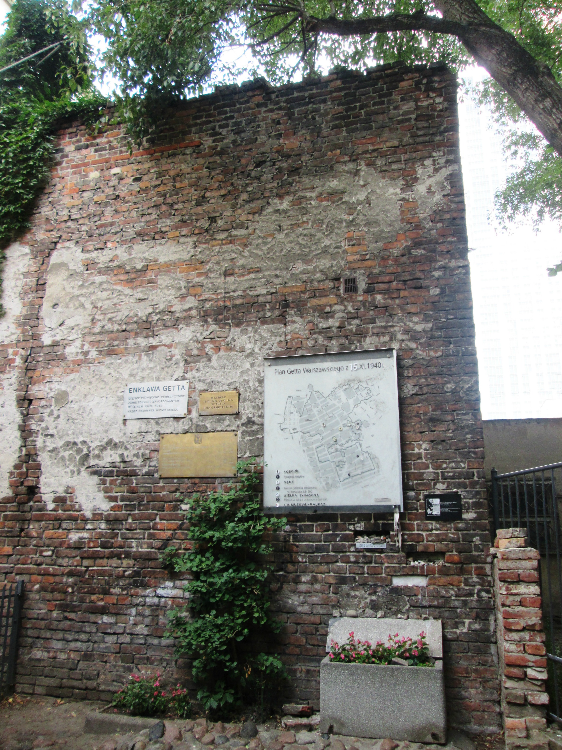 IMG_7247.jpg