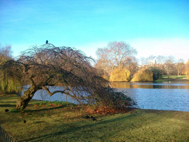 London Green Park.jpg
