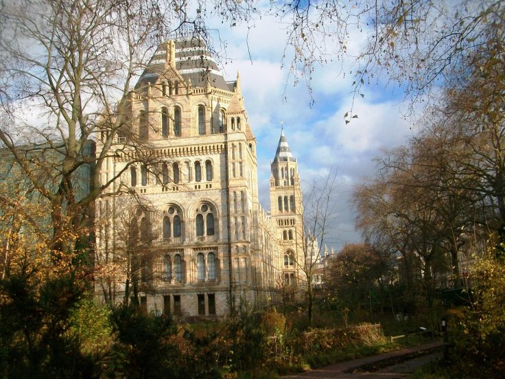 Natural History Museum.jpg