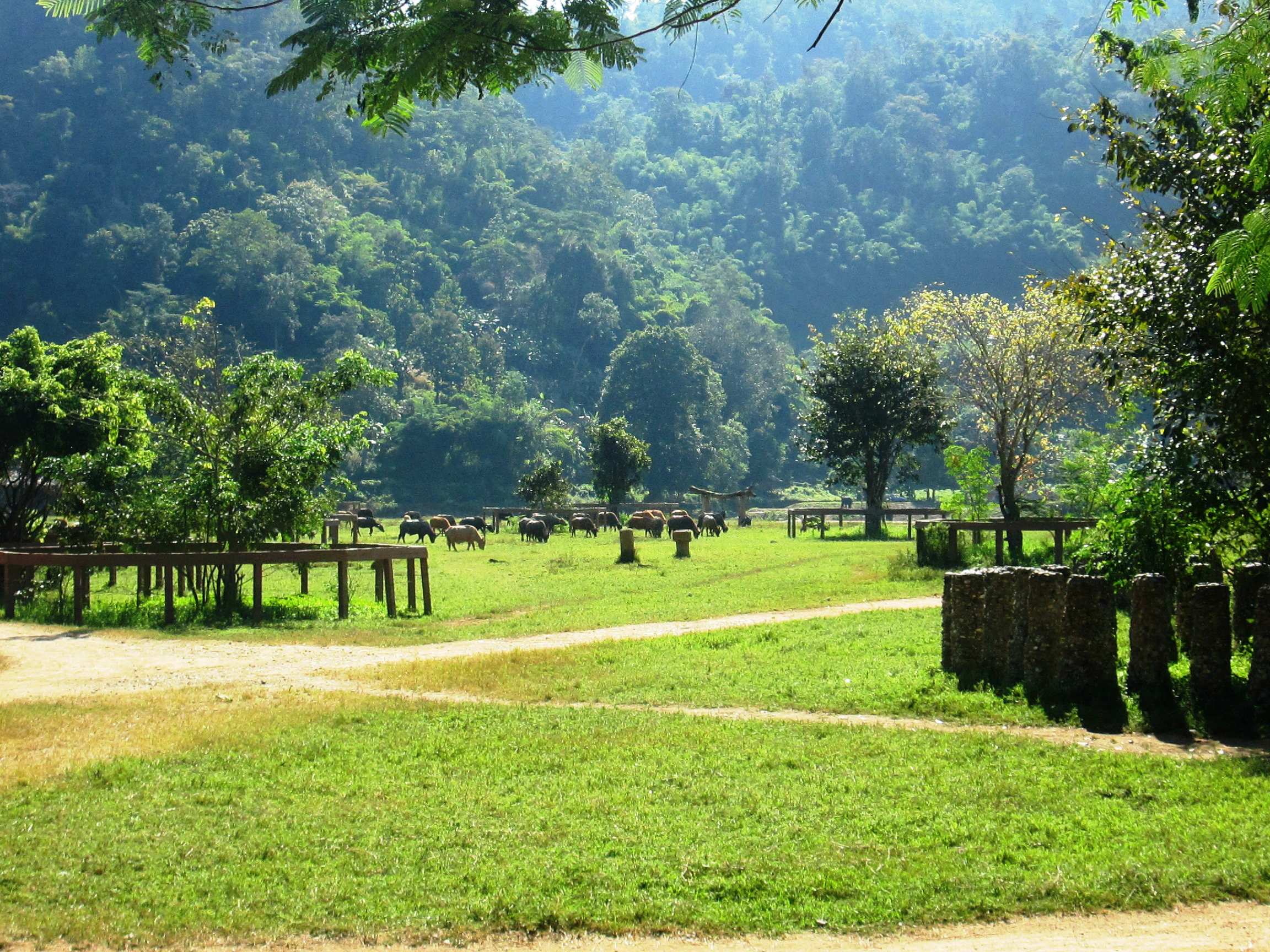 elephant-nature-park