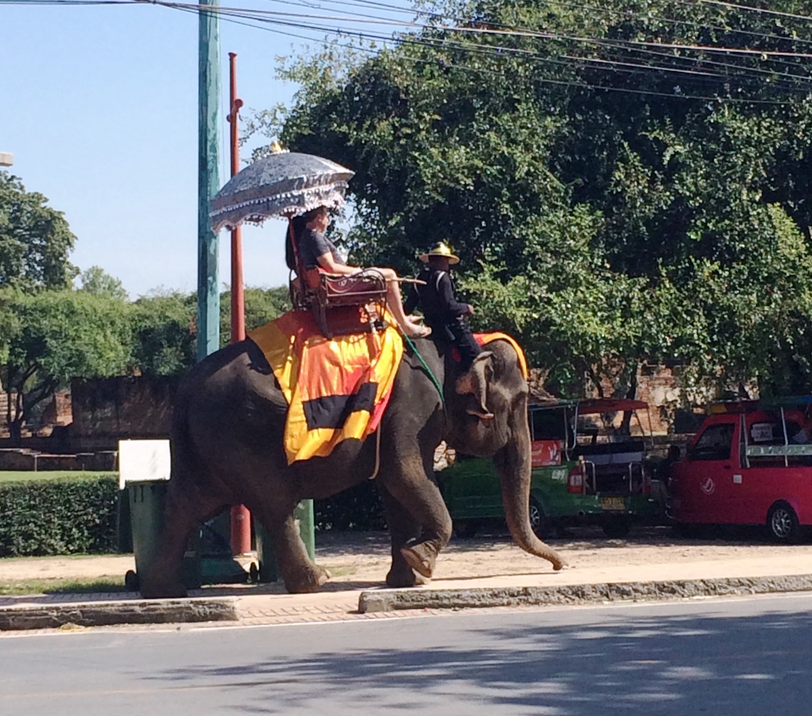 NORIDINGELEPHANT.jpg