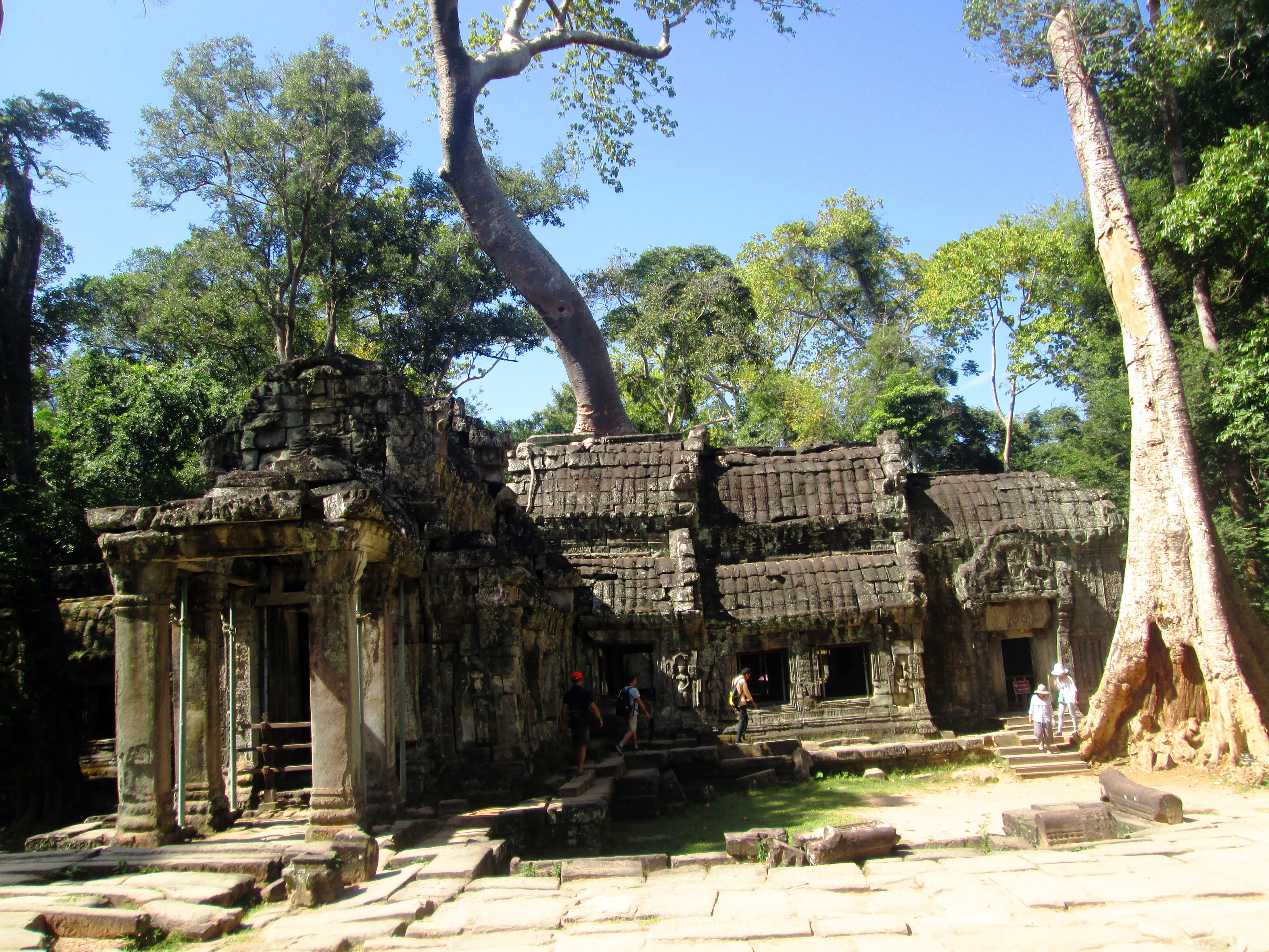 ta-prohm-1