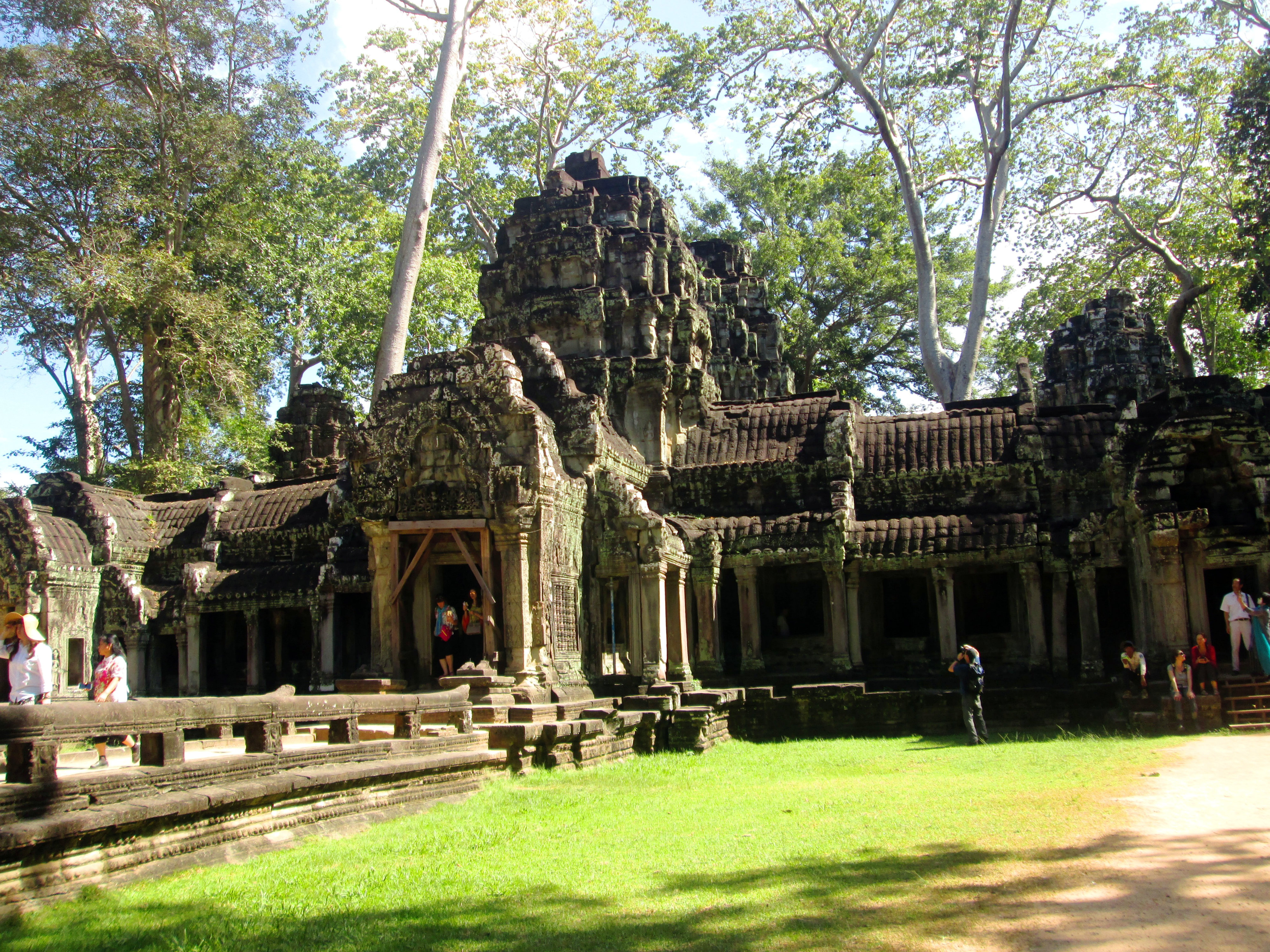 ta-prohm-3