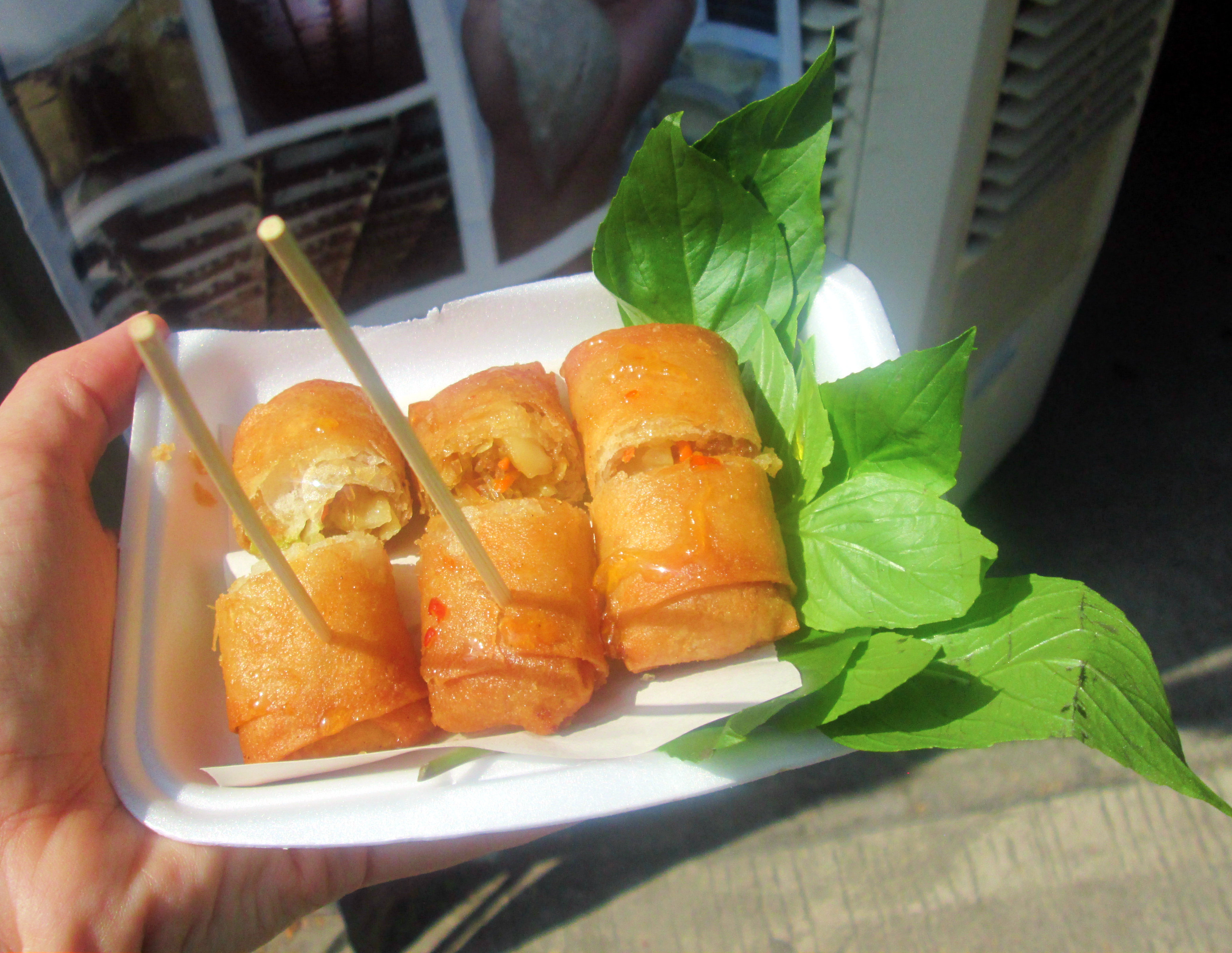 spring-rolls