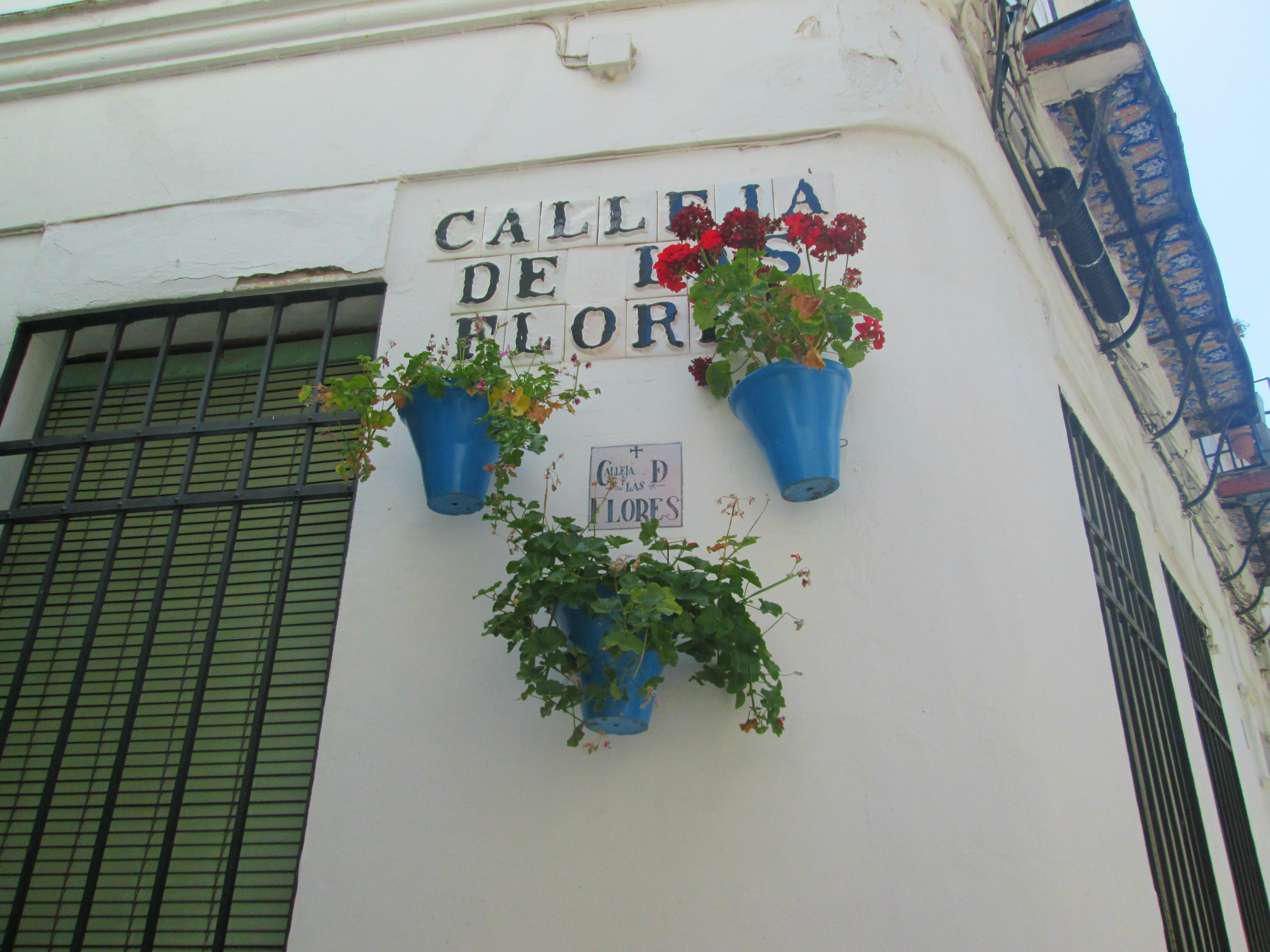 Calle Flores