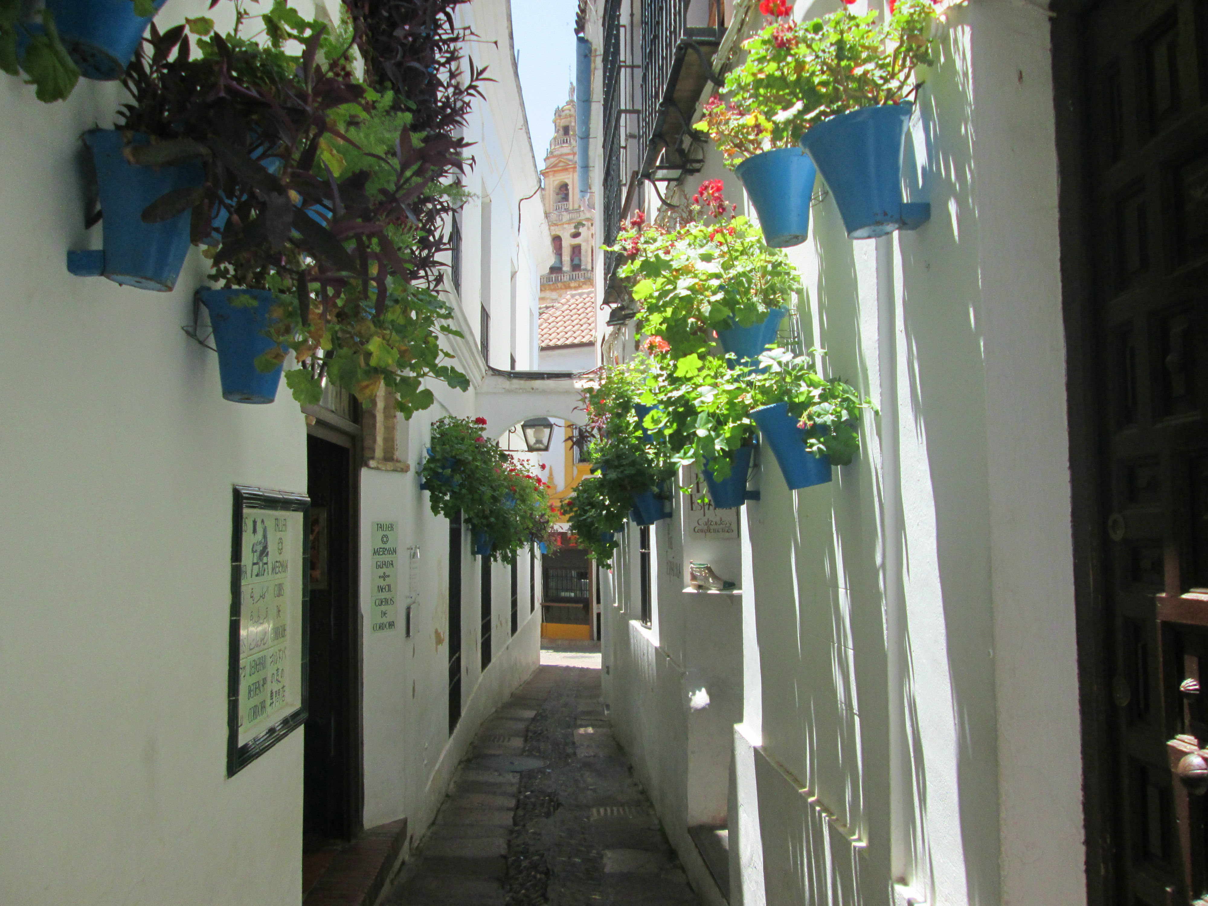 Calle Flores1