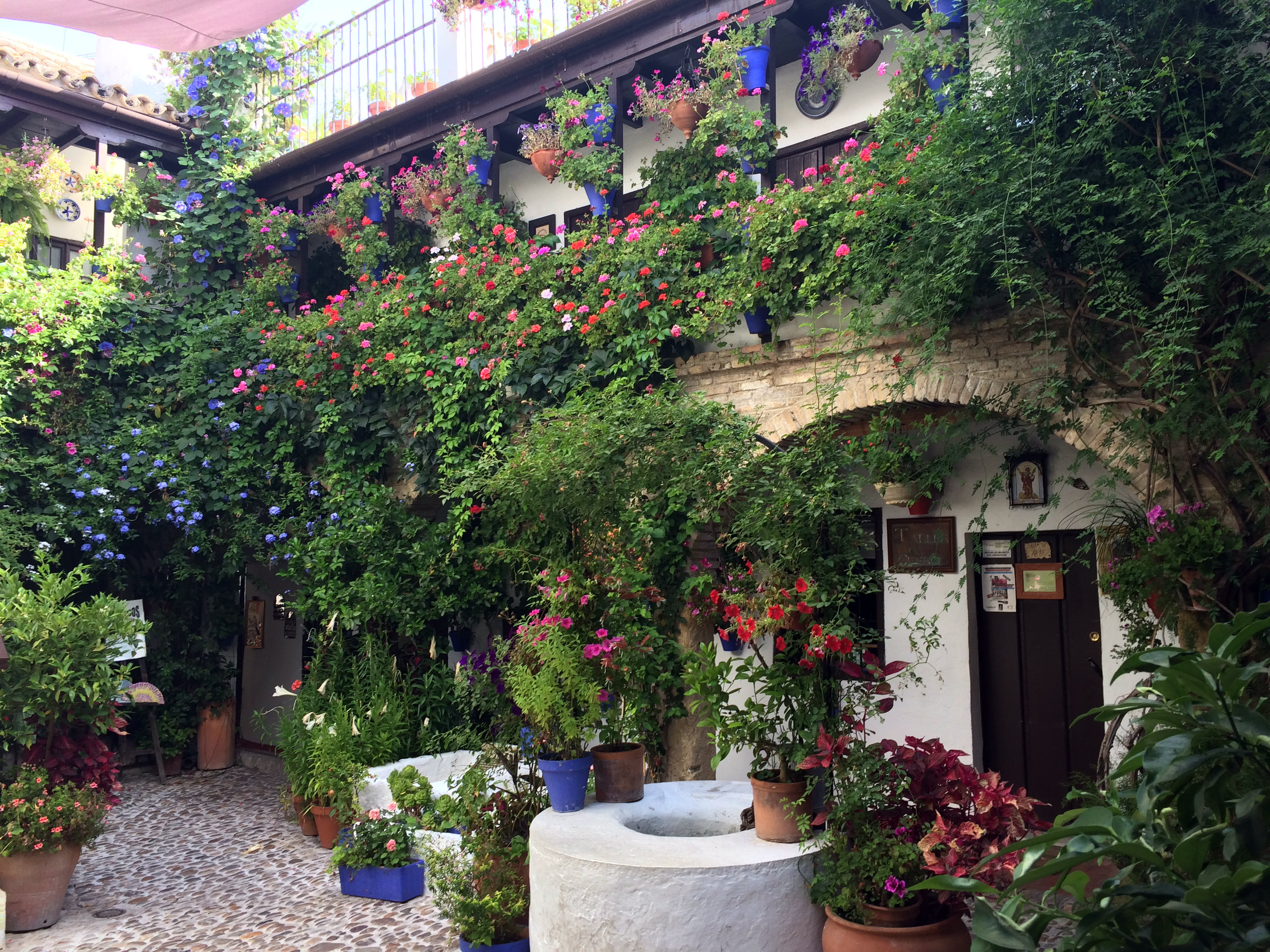 Patios11