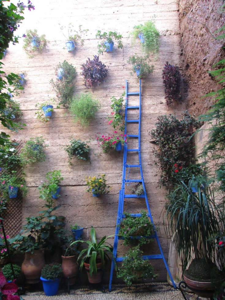 Patios1