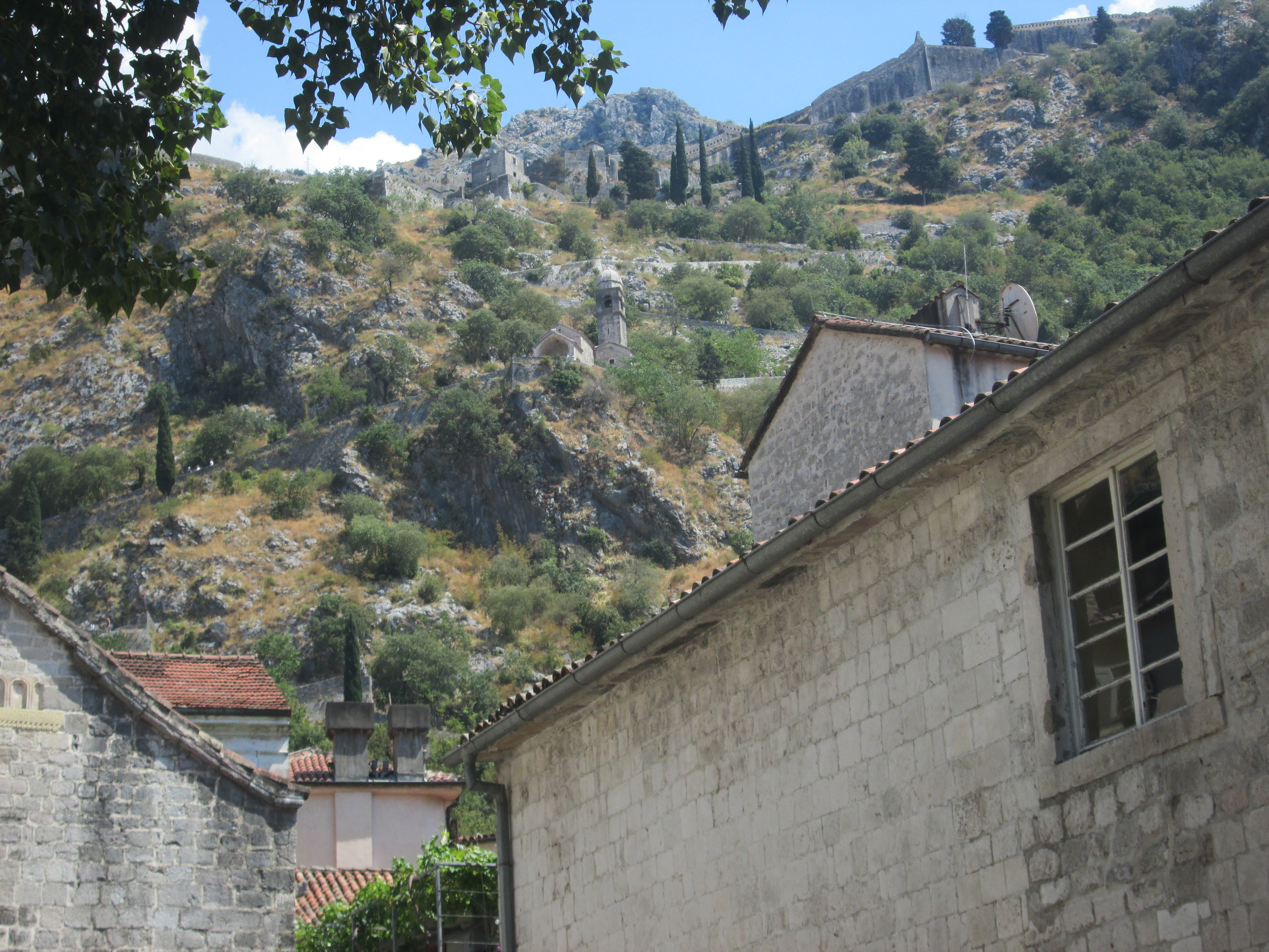 Kotor (2)
