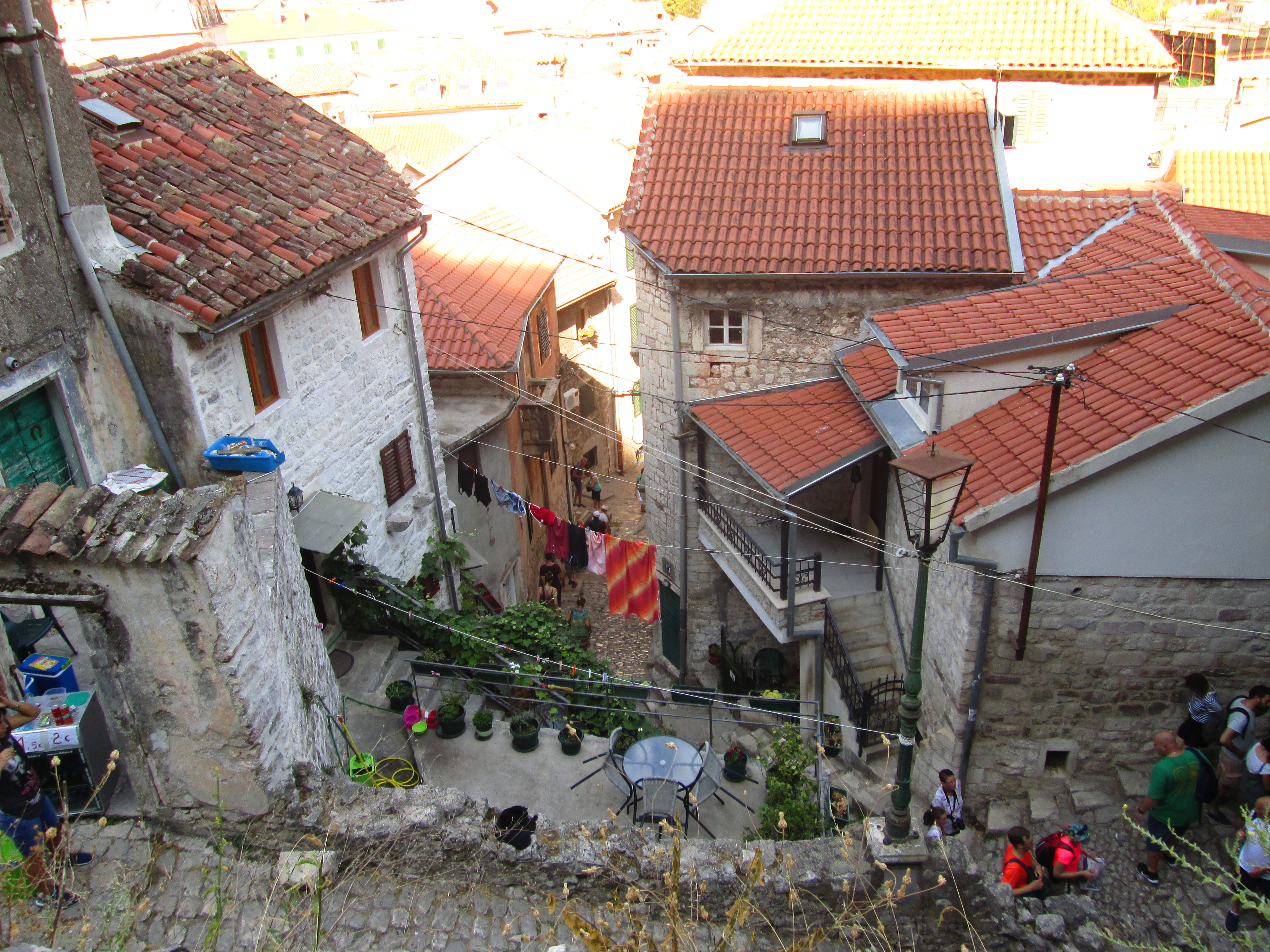 Kotor (7)