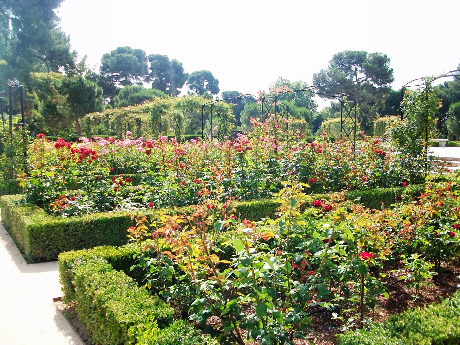 d5e0f-parquedelretiro3