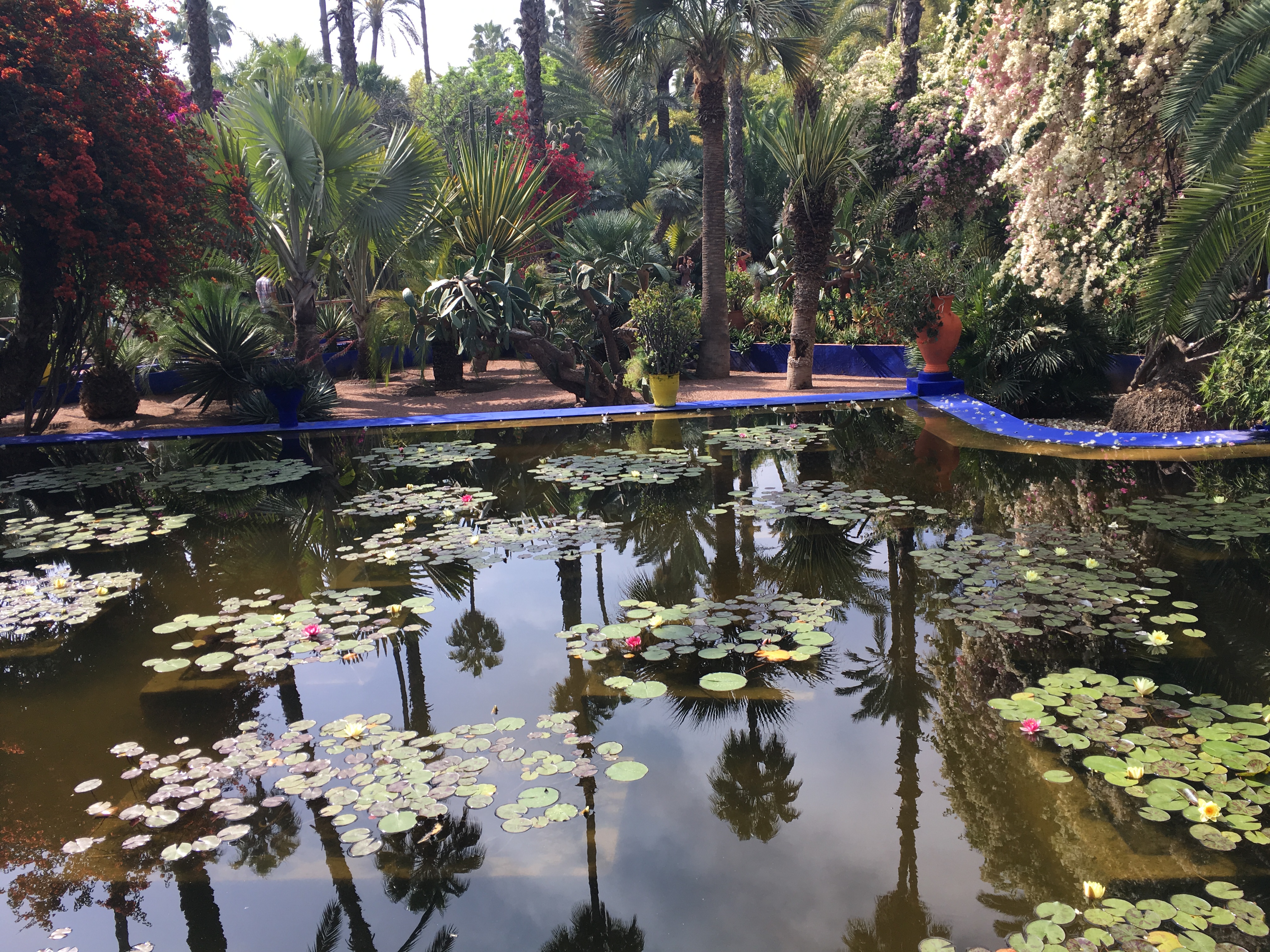 Marrakech Majorelle Garden