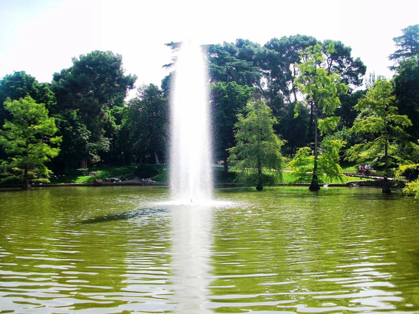 27040-parquedelretiro5
