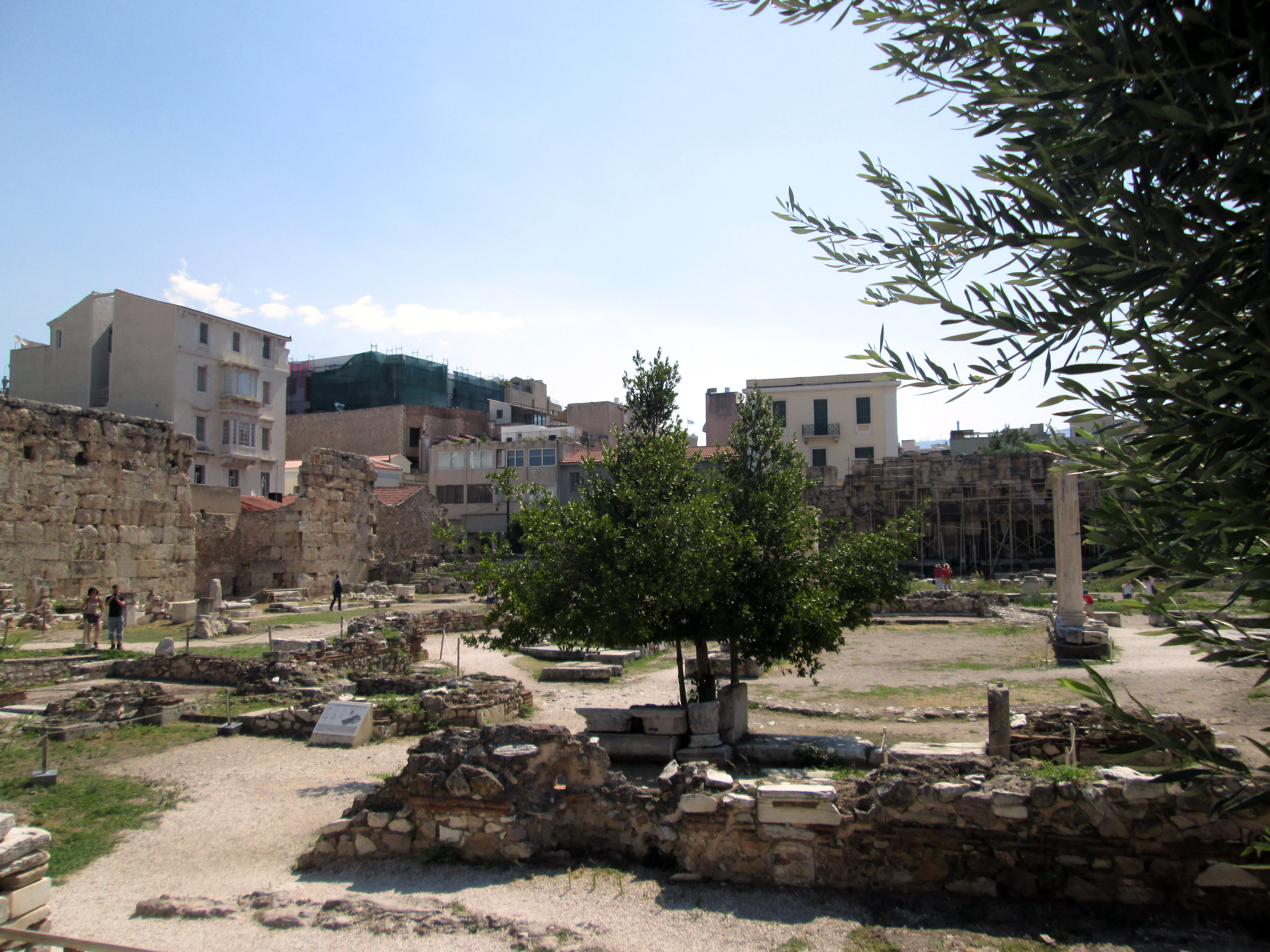 Athena - Biblioteka.JPG